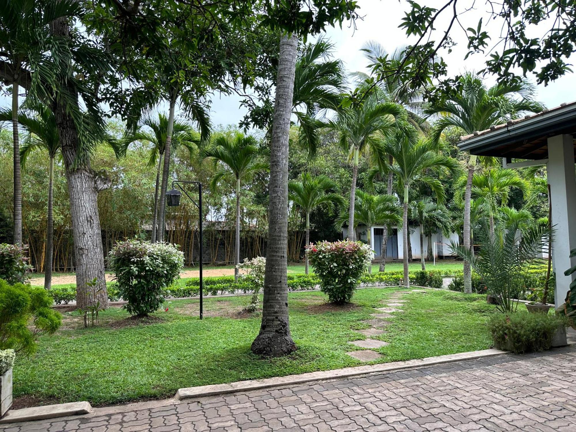 อมาลูนา รีสอร์ต Hotel เนกอมโบ ภายนอก รูปภาพ